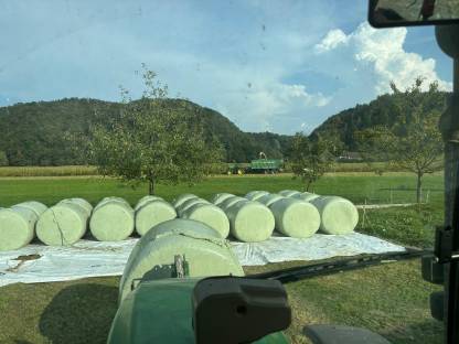 Bild 4:Bio Maisballen Vorbestellung