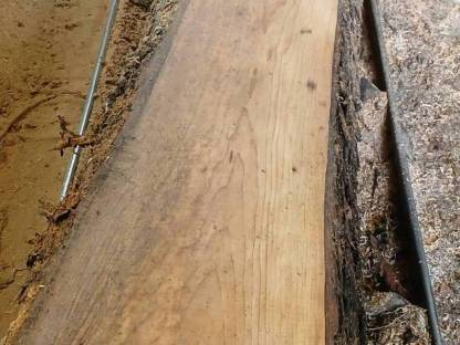 Bild 2:Haselnuss-Pfosten Schnittholz