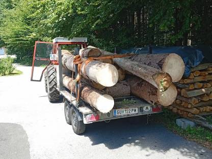 Waldarbeit Aufräumen Pflegen