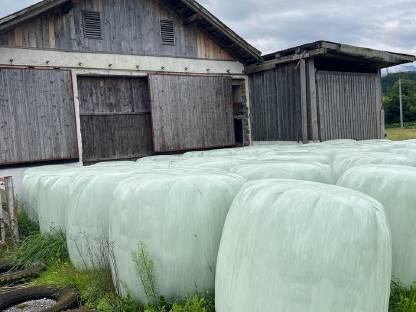 Silageballen zu verkaufen