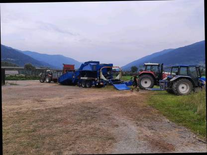Silo-Maisballen, Apfeltrester, Maissilage-Mix
