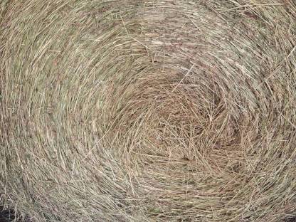 Gärheuballen foliert