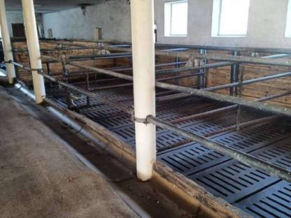 Aufstallung Rinder komplett