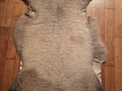 Bild 4:Lammfelle