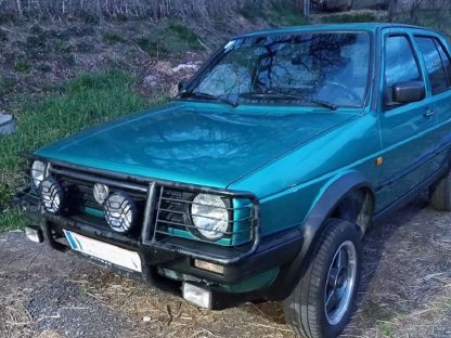 Bild 3:VW Golf Country