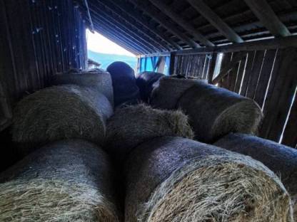 Bild 7:Heuballen günstig