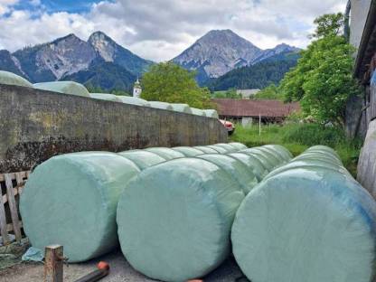 Bild 2:Silageballen günstig
