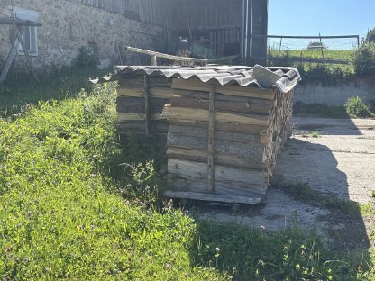 Brennholz Fichte