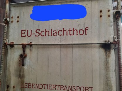Bild 5:Verkaufe Viehtransporter Ford Transit