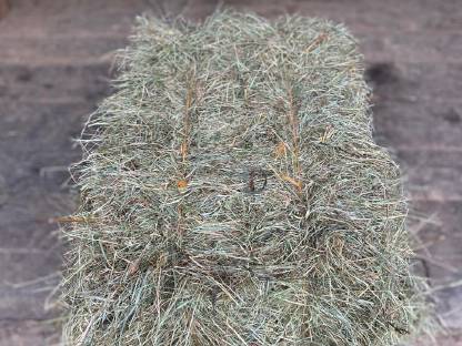 Bild 2:Heuballen klein