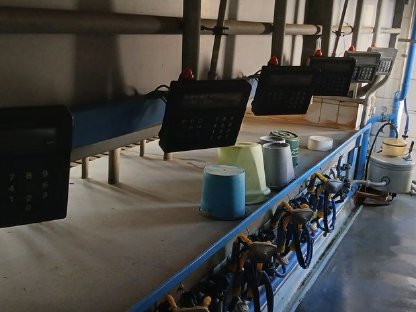 Bild 2:Melkstand Delaval