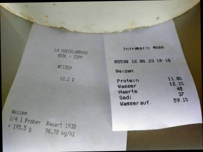 Bild 2:Bio Futterweizen