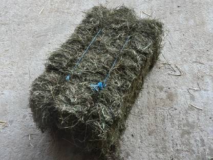 Bild 5:Kleinheuballen