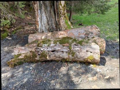 Bild 3:Ahornholz Epoxidarbeiten