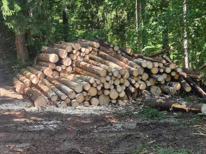 Bild 3:Prozessorbagger