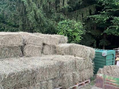 Bild 2:Heu Kleinballen