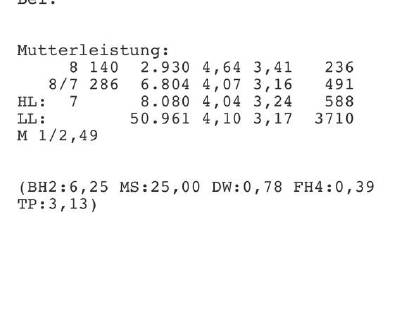 Bio Kälber/Bio Kalbinnen zu verkaufen