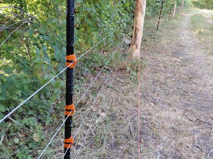 Bild 5:Weideplätze für Schafe und Ziegen - OÖ Zentralraum