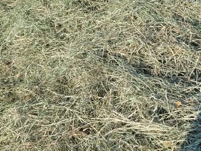 Bild 7:Verkaufe Top Heuballen