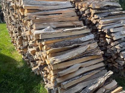 Bild 2:Brennholz