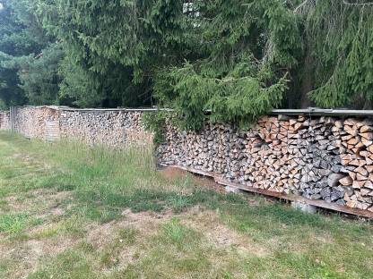 Brennholz