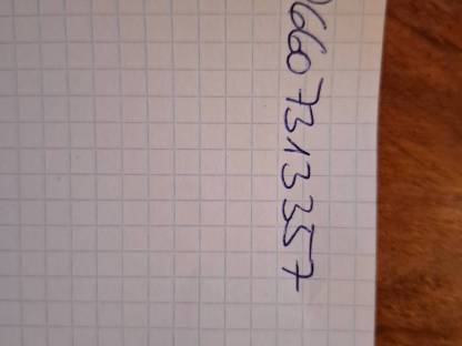 Bild 2:Schwäbisch Hällische Ferkel