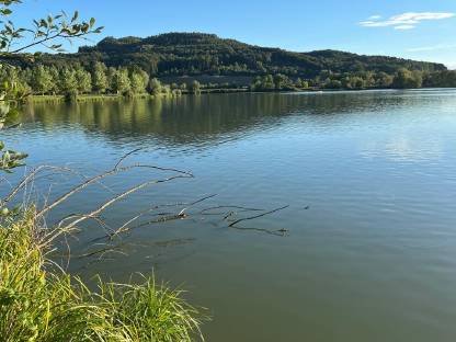 Bild 3:Wir suchen einen Mitarbeiter für die Forstwirtschaft