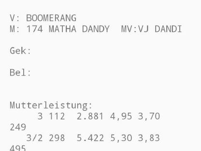 Bild 2:Verkaufe Jersey Kalbin