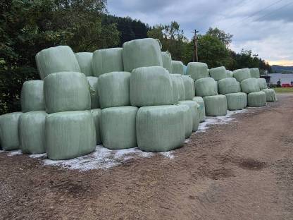 Bild 2:Siloballen für Milchkühe