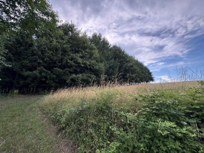 Bild 6:Acker inkl. Wald in Katastralgemeinde Großgraben