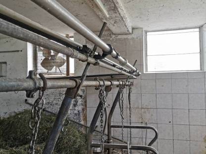 Bild 3:Rohrmelkanlage