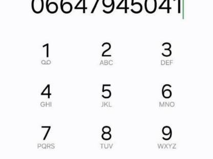 Bild 7:Miststreuer Pöttinger 3200