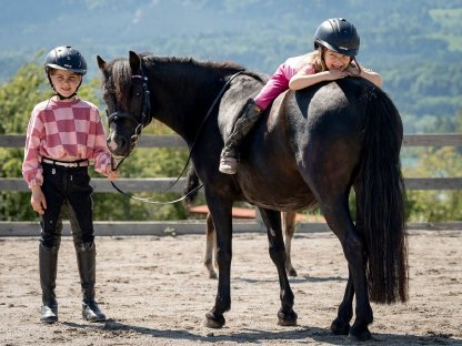 Traum Pony 125 m, Gut geritten, Herz aus Gold