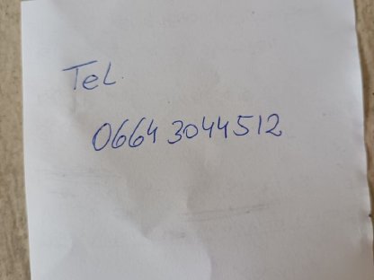 Bild 3:Verkaufe graue Jungkalbin