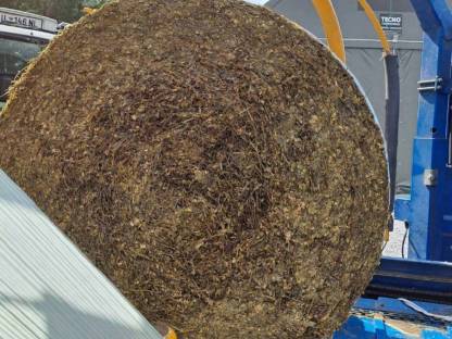 Gemischte Silageballen, ca. halb Mais, halb Gras