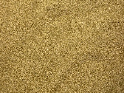 SENF € 1,50,- Nematodenresistent