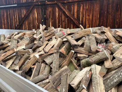 Bild 2:Brennholz Buche oder Eiche