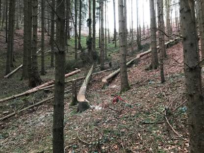 Bild 6:Landwirtschaft zum Pachten oder auf Leibrente gesucht, BIO