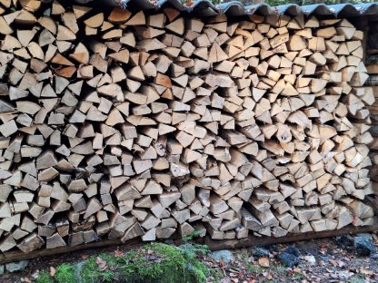 Brennholz - Buche - Trocken