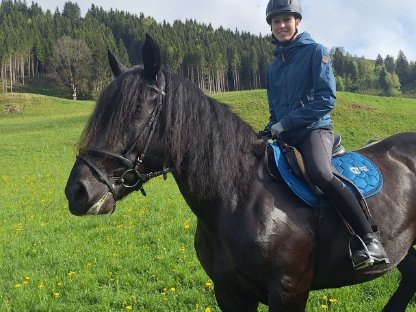 Bild 5:Liebevolles Noriker-Rappstutenfohlen - Daisy