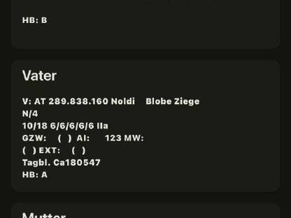 Bild 6:Blobe Ziege HB