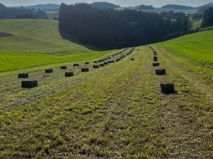 Bild 5:Heuballen