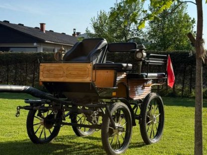 Bild 4:Kutsche - Wagonette - Pferdekutsche