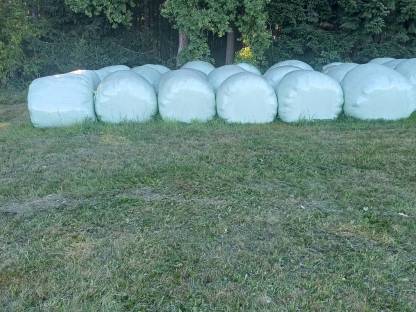 Bio Kleegrasballen