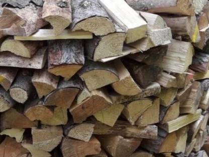 Brennholz hart und trocken
