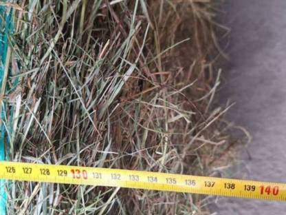 Bild 3:Bio Rundballen 2. Schnitt 2024