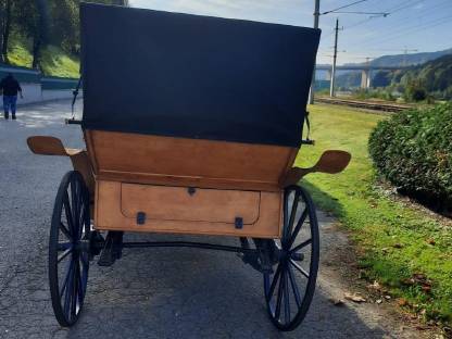 Bild 9:Vis-à-vis Kutsche