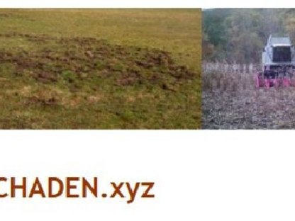 Wildschadenprobleme? Ich helfe Ihnen!