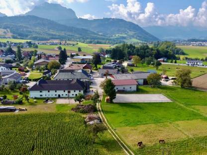 Bild 8:Pferdeboxen - Einstellplatz frei