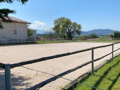 Bild 6:Pferdeboxen - Einstellplatz frei
